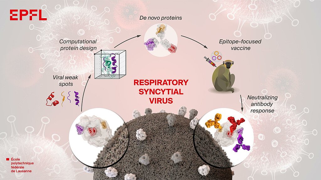 protein in vaccine protein in vaccine